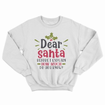 Dear Santa